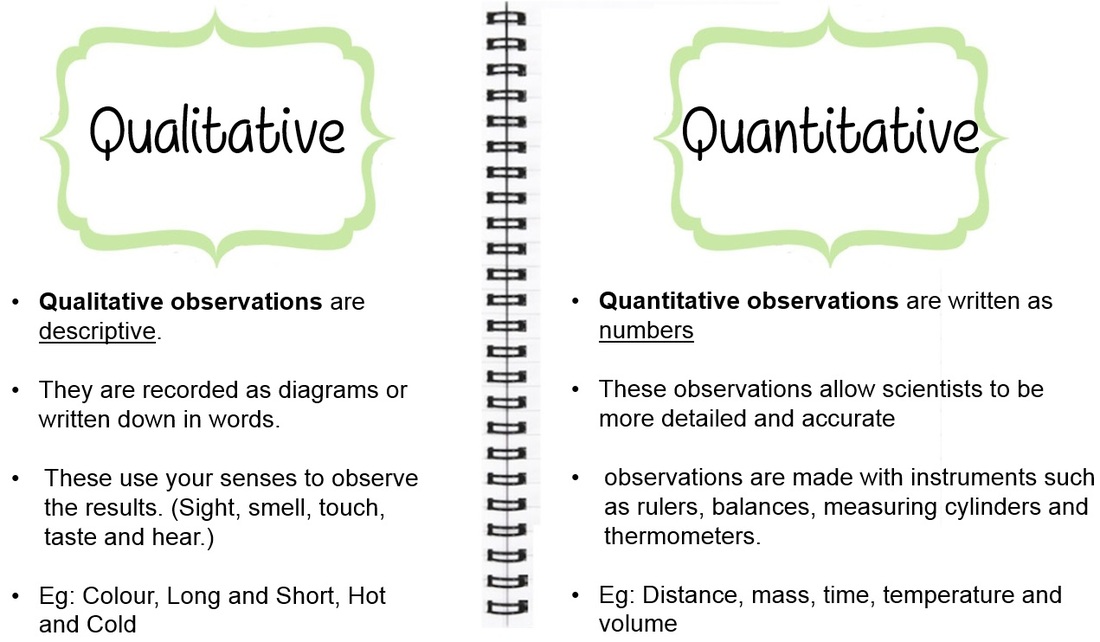 Observations - Year 7 Science